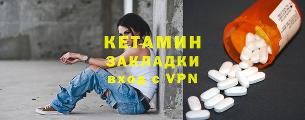 прущие грибы Дмитров