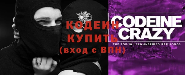 прущие грибы Дмитров