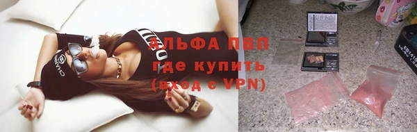 прущие грибы Дмитров