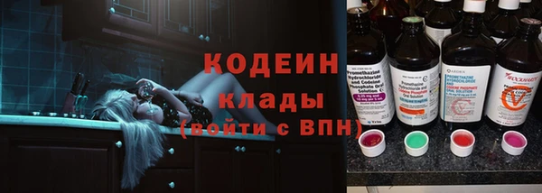 прущие грибы Дмитров
