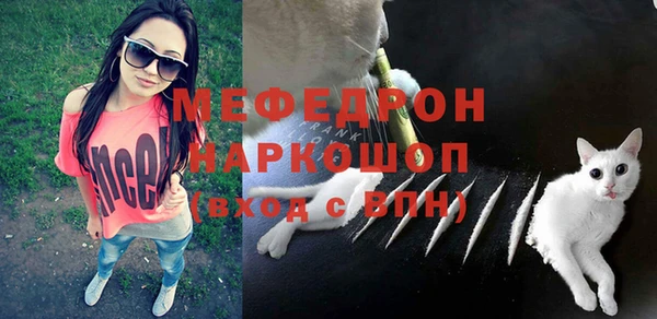 прущие грибы Дмитров