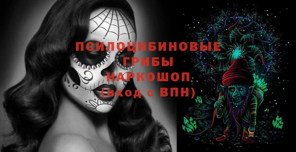 ECSTASY Дмитриев